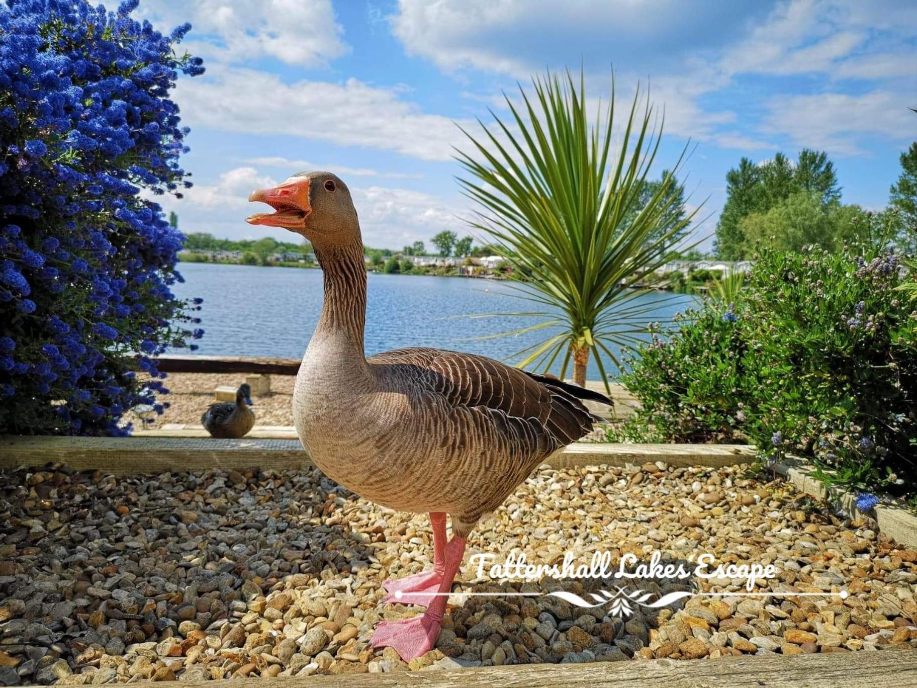Meridian Tattershall Lakes Escape - Lakeside Lodge Caravan With A Fishing Peg Luxury Hot Tub Экстерьер фото