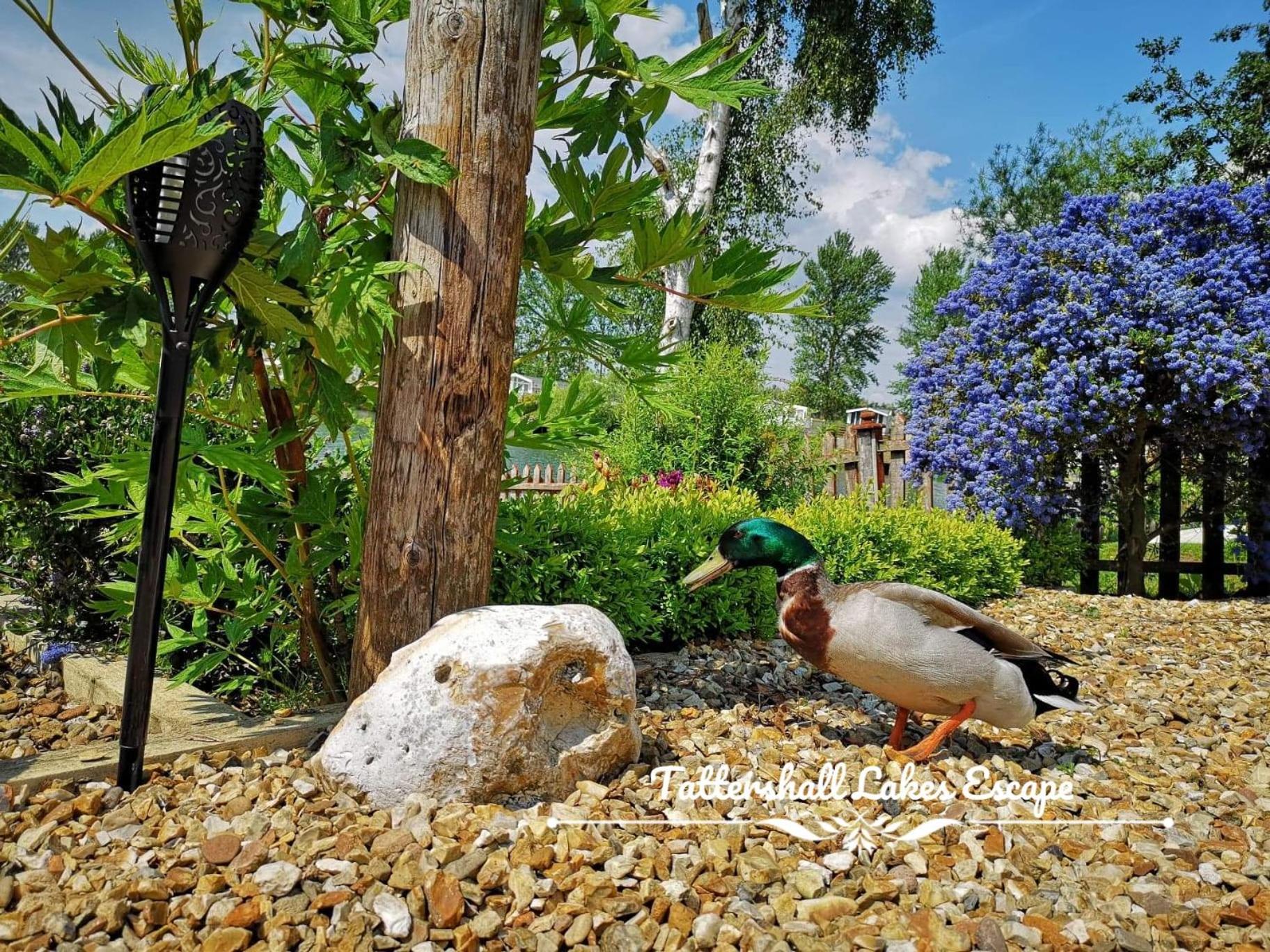 Meridian Tattershall Lakes Escape - Lakeside Lodge Caravan With A Fishing Peg Luxury Hot Tub Экстерьер фото